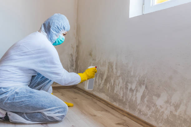 Forensic Mold Investigation in Bonanza, GA