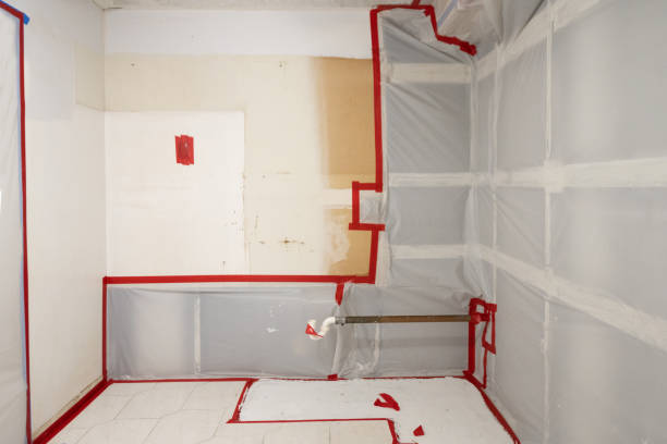 Mold Documentation for Insurance Claims in Bonanza, GA