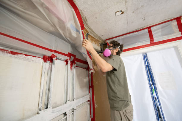 Best Industrial Mold Remediation  in Bonanza, GA